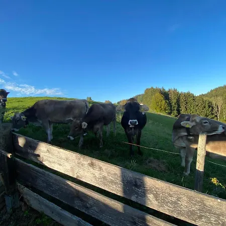 Bergblick Mit Garten, 2022 Komplett Renoviert Apartment Wangen im Allgäu